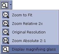 6.5. Using the Magnifying Glass Tool The Magnifying Glass tool allows you to enlarge a portion of the image using a window that can be moved around the image. 6.5.1.