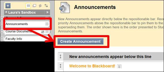 2.3. Announcement: Go to Announcements in the course menu > click Create Announcement.