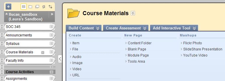 Item: Creating an Item lets you add text and attach files to a Content Area. Go to a Content Area or Folder > click Build Content > from the Create column select Item. Enter a Name and your Text.
