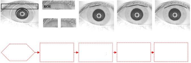 right directions. The magnitude of the gradient vector as shown in Figure 10 (b) is characterized by the presence of the eyelashes as the pronounced edges.