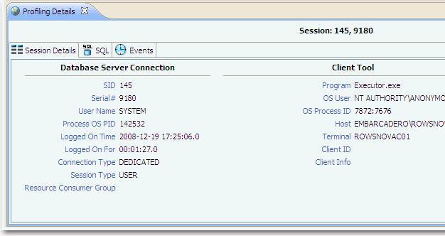 Viewing Details on the Sessions Tab In the Top Activities Section, selecting a statement entry on the Sessions tab displays information in the Details view.