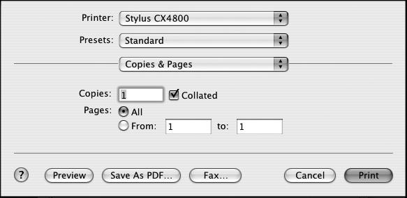 Make the following settings: Select Stylus CX4200 or Stylus CX4800 Select your Paper Size* Select your document or image orientation * For borderless printing, choose the (Sheet