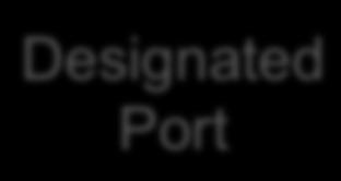 0000000000CC Designated Port In the