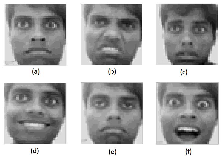 The preprocessed face image is used to extract features of facial expression using LBP algorithm.