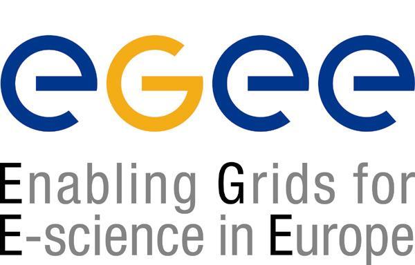Fergusson NeSC EGEE is a project funded