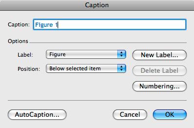 Figure 3: Caption Dialog Box TABLES Tables are useful for displaying a large amount of data in an organized manner. Relationships and changes between data can be shown in a table format.
