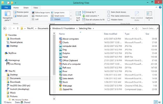 WINDOWS 8.1 FOUNDATION FOR BUSINESS USERS PAGE 69 You will see the files contained within this folder.