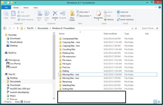 open the File Explorer and navigate to the Windows 8.
