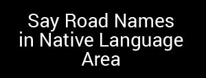 Choose from the following options: Announce the street names in the native language area of the selected voice guidance language. Announce the road numbers only. Announce the manoeuvres only.