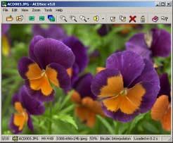 The Viewer user interface The Viewer user interface includes a toolbar, view area, and a status bar. The Viewer displays your images one at a time in full resolution.