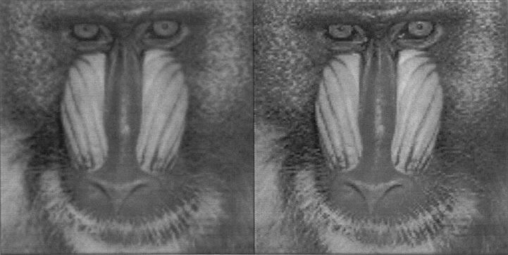 11. Baboon image reduced and then expanded by a factor of 4 (512 512 to 128 128 and 128