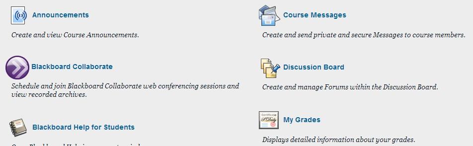 Instructors can customize this course menu by adding and deleting tools, adding more content areas, and renaming items.