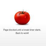 Once your allotted time has been used up, the sites you have blocked will be inaccessible