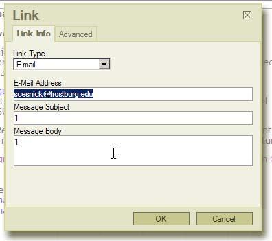 You will see the Link window prefilled with the existing email link information. Edit the options as necessary and click OK.