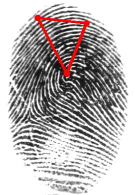 Detecting Fingerprint Distortion from a Single Image Xuanbin Si, Jianjiang Feng, Jie Zhou Department of Automation, Tsinghua University Beijing 100084, China sixb10@mails.tsinghua.edu.