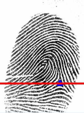 However, after examining many fingerprints, we noticed that ridge period in normal fingerprints is not uniform. As can be observed from the ridge period images of three normal fingerprints in Fig.