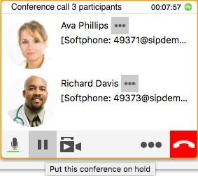 the conference call panel.