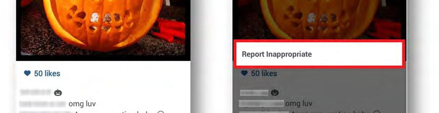 How to flag a comment as inappropriate: Instagram provides the following guidelines directly from their website. If needed, visit the following link: https://help.instagram.