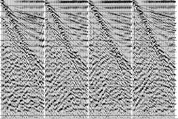 FIG. 5. Shaganappi shot records filtered with V-interpolated R-T filter.