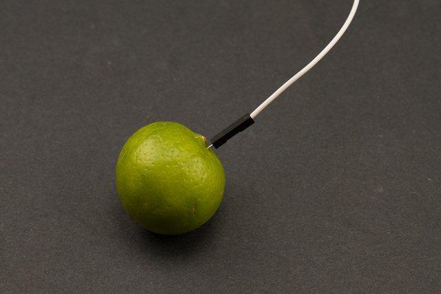 Now arrange the the limes in a line, but not too close together. As with the wires, placing the limes too close together can cause interference. Plug in your Circuit Playground Express.