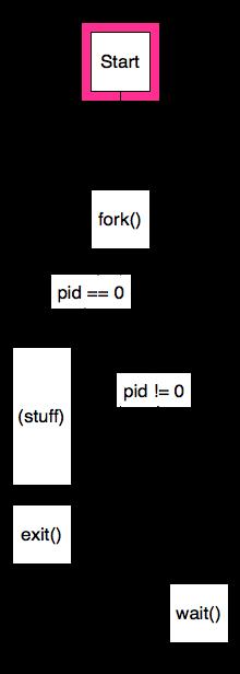 Process control Parent fork (pid == child PID) wait for child to complete