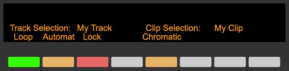 The Matrix can also be assigned to Chromatic Clip Play, which allows you to play the Clip chromatically, via one of the Track Selection buttons. Default function of Matrix.