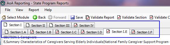 After validating the data, (see "Validating Data") NAPIS SRT displays any errors in the Errors pane in the lower portion of the screen.