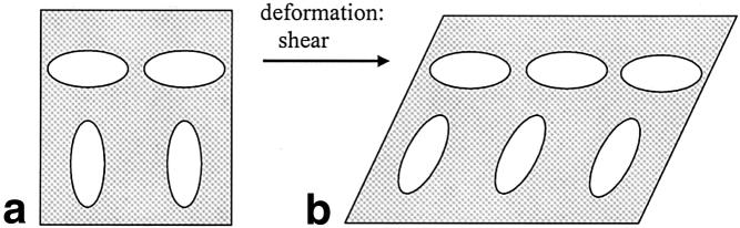 176 Xu et al. FIG. 1. Tensors must be reoriented in addition to being relocated during DTI warping. a: Original tensor field.