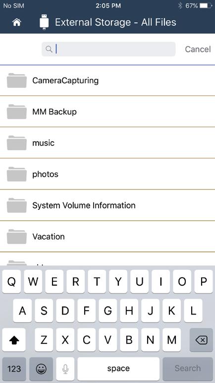 Within Internal or External Storage, tap on Search on the bottom bar.
