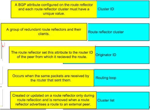 Explanation: Cluster id: - A BGP attribute on the route reflector and each route reflector cluster must have a unique value Route reflector cluster: - A group of redundant route reflectors and their