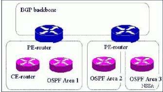 routing protocol and the backbone IGP. D. On the PE-router, a single instance of OSPF is run.