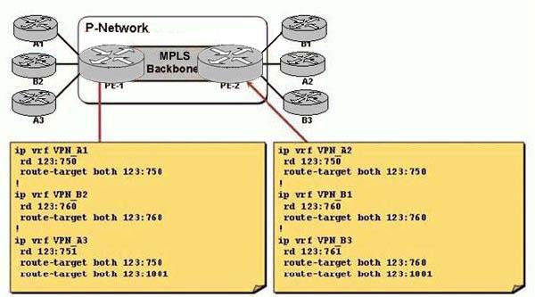 Exhibit: Refer to the exhibit. In which type of MPLS VPN are customers A and B participating? A. Overlapping MPLS VPN. B. Simple MPLS VPN. C. Central services MPLS VPN. D. Overlay MPLS VPN. E.