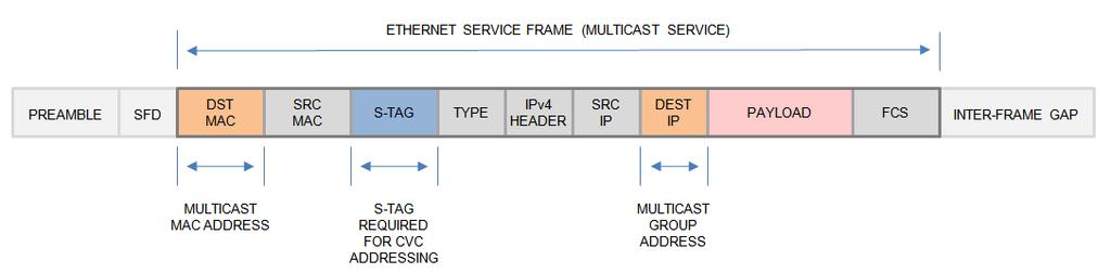 Figure 4 AVC/CVC Service Addressing Mode D Service Frame Format Note that the NNI frame structure for this addressing mode is similar to that depicted in AVC/CVC Service Addressing Mode C, however,