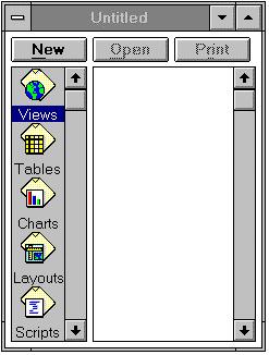 When ArcView is first executed, a new untitled Project window is opened. This window includes several icons marked Views, Tables, Charts, Layouts, and Scripts.