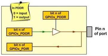 The basic GPIO structure (simplified description) The Port Data Output Register (GPIOx_PDOR) is located at the offset address of 0x0000 from the Base address of the port in the microcontrollers of