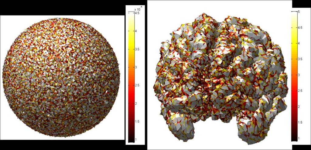 Fig. 10. Noisy surfaces used in simulation; Unit sphere (left) and cortex-like surface (right); Color codes the area of triangles referring to each color bar Fig. 11.