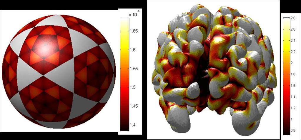 referred as Voting henceforth). 3.2. Objects: unit sphere and cortex-like surface. The objects used in this simulation are a unit sphere and a cortex-like surface (Fig. 9).