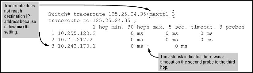 similar to this: Figure 66 A completed traceroute enquiry Continuing from the previous Example: (Figure 66 (page 367)), executing traceroute with an insufficient maxttl for the actual hop count