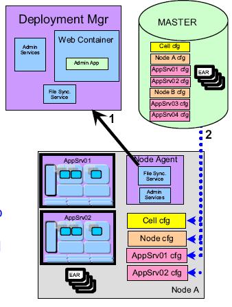 WebSphere AS Network Deployment Architecture A deployment manager process manages the node agents Holds the configuration repository for the entire management domain, called a cell Administrative
