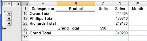 This worksheet has four levels: Level 4 shows the complete list Level 3 shows the subtotals for Units for each person Level 2 shows the subtotals for Sales for each salesperson