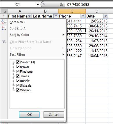 Click on the tab Data Filter Filter button The records will now be displayed as shown below, with Filter buttons appearing for each field.