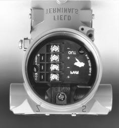 Level Controller Accessories and Options FIGURE B-1. Transient Protection Terminal Block with External Ground Assembly.