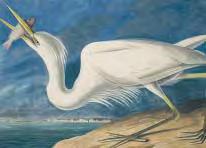 Heron Item # 1863-17-281