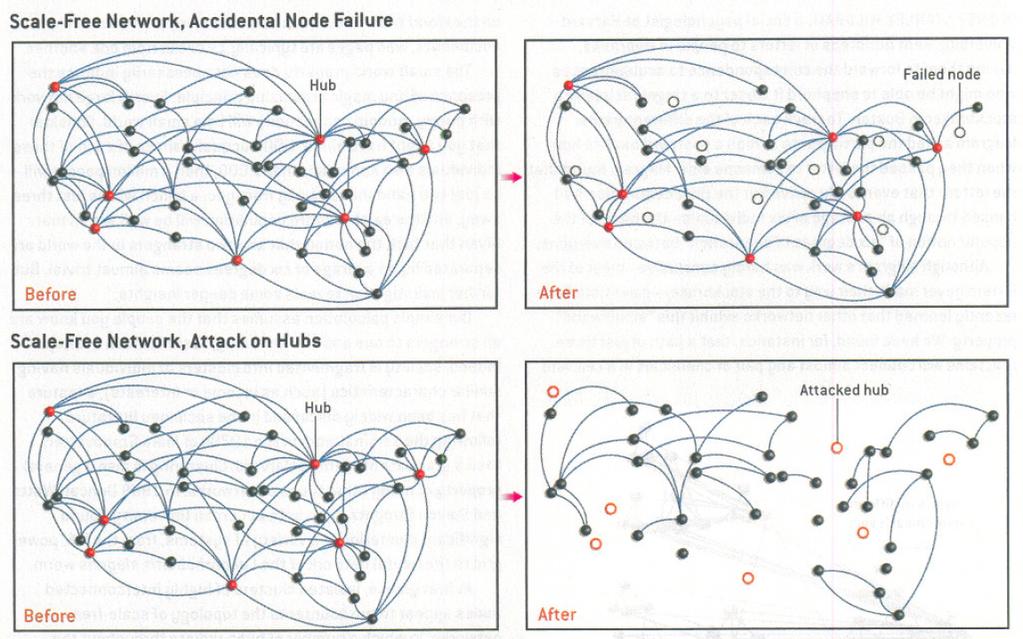 ROBUSTNESS AND VULNERABILITY PROTEIN NETWORKS Nodes with few connections can often be lost without compromising the integrity of the network as many as 80 percent of randomly selected Internet