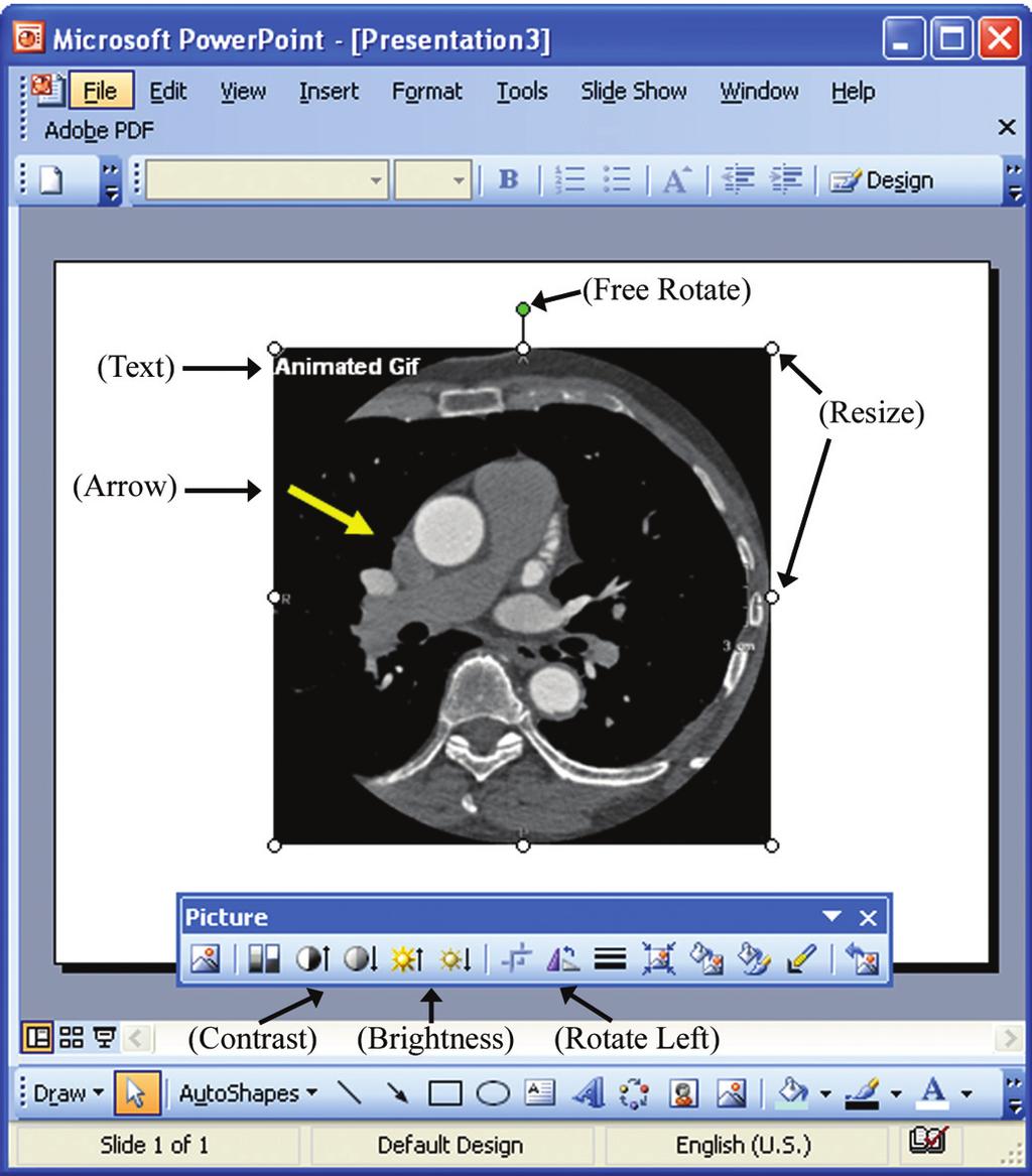 Fig. 4 Screen capture of Microsoft PowerPoint 2003 shows tools and functions for manipulating sample animated GIF, xial.gif, created in tutorial #1.
