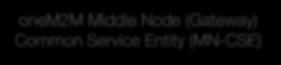 Middle Node (Gateway) Common Service Entity (MN-CSE)