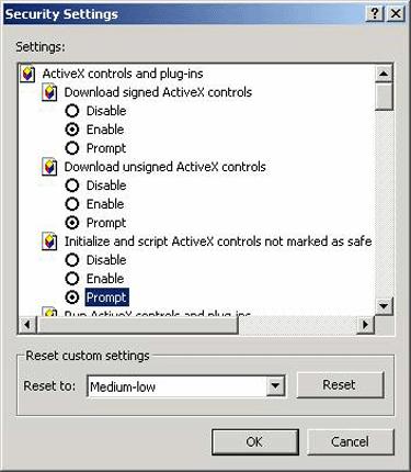 Under Settings > ActiveX Controls and Plug-Ins set (Figure 2.