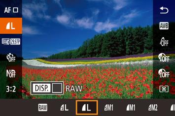 Jäädvustamine RAW-vormingus Muud seaded Kaamera võimaldab jäädvustada pilte JPEG- ja RAW-vormingutes.