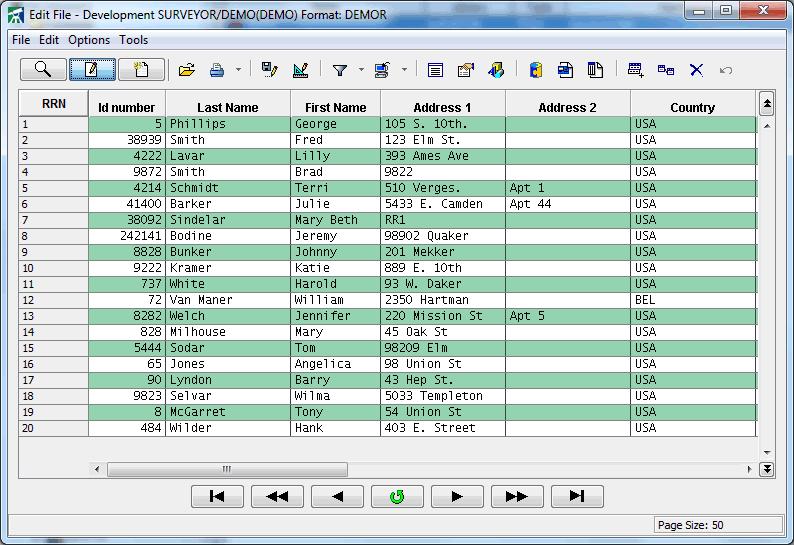 Database File Editor and Query Tool Surveyor/400's File Editor allows users to query and work with records (rows) in a DB2/400 database file.