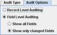 If the Spooled File Auditor option is selected, then you can specify the output queue for storing the auditing spooled files. For each File Editor session, a separate spooled file will be created.